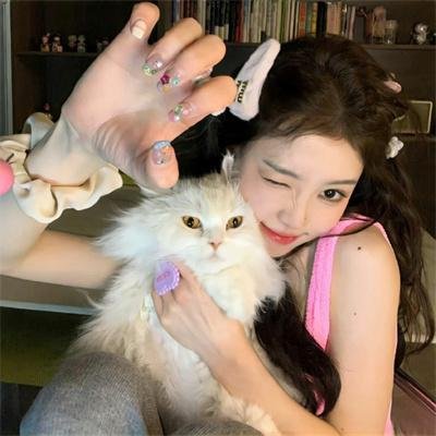 只有猫知道 在线观看封面
