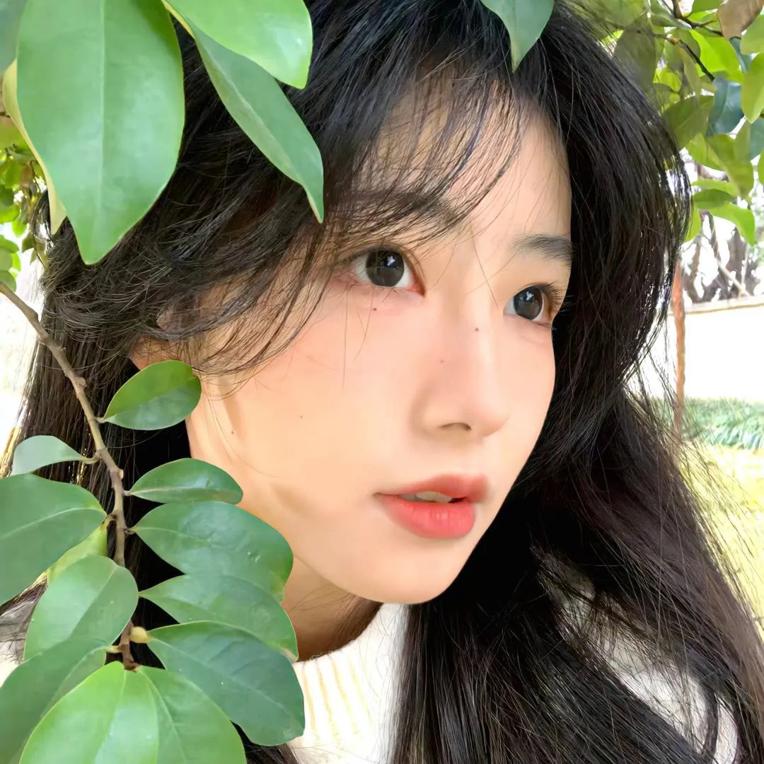 后街梦 在线观看封面