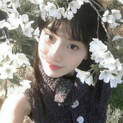 花月杀手 在线观看封面