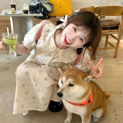 美丽的日子 在线观看封面